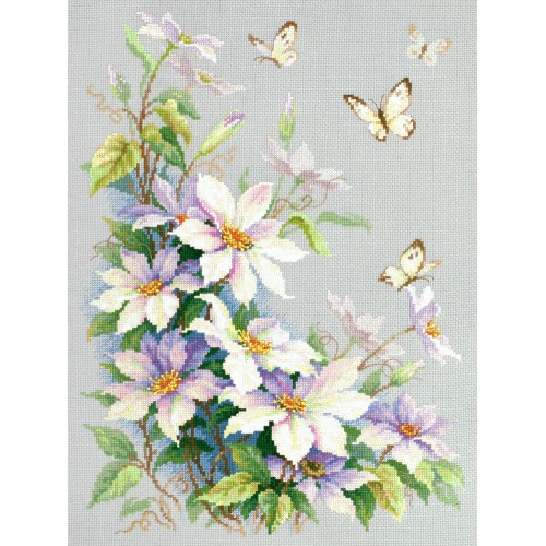100-062 Клематиси