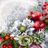 200-246 Зимен каприз 