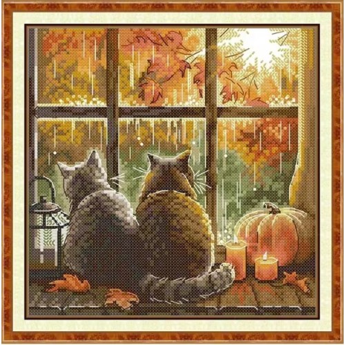 Котета на прозореца - Joy Sunday