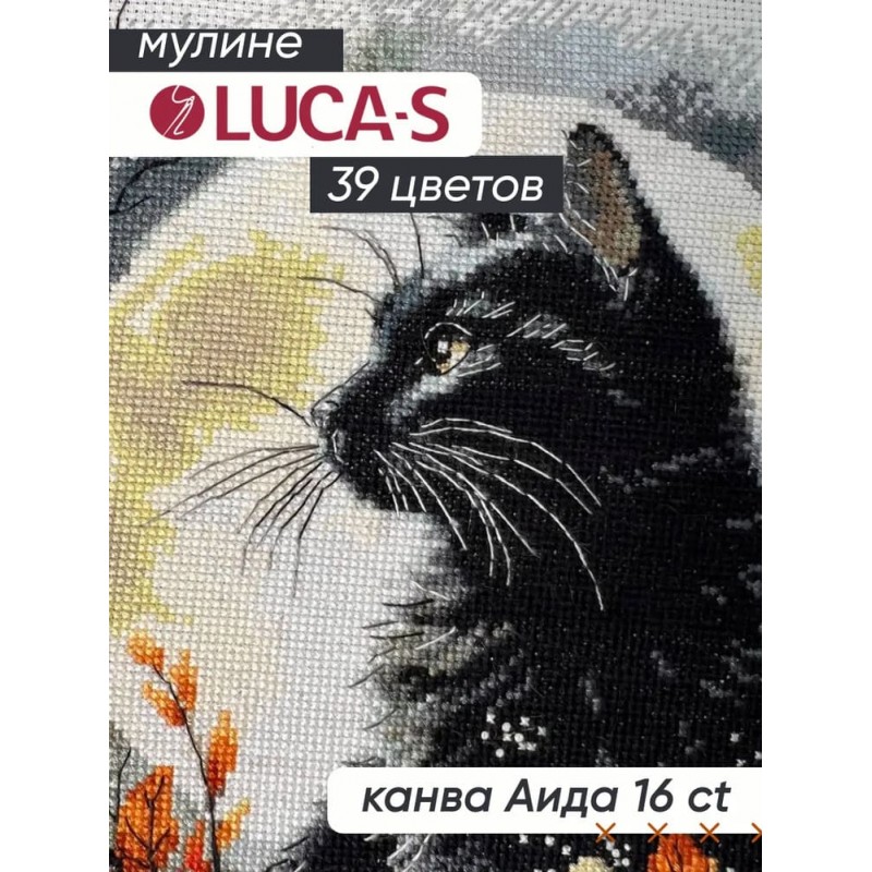 MV-143 Лунна котка