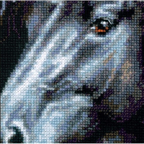1494 Вятър в гривата - RIOLIS