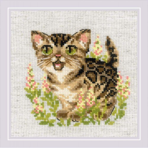 2119 Бенгалско коте 2119 Бенгалско коте