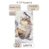 Ч-13 Чудеса