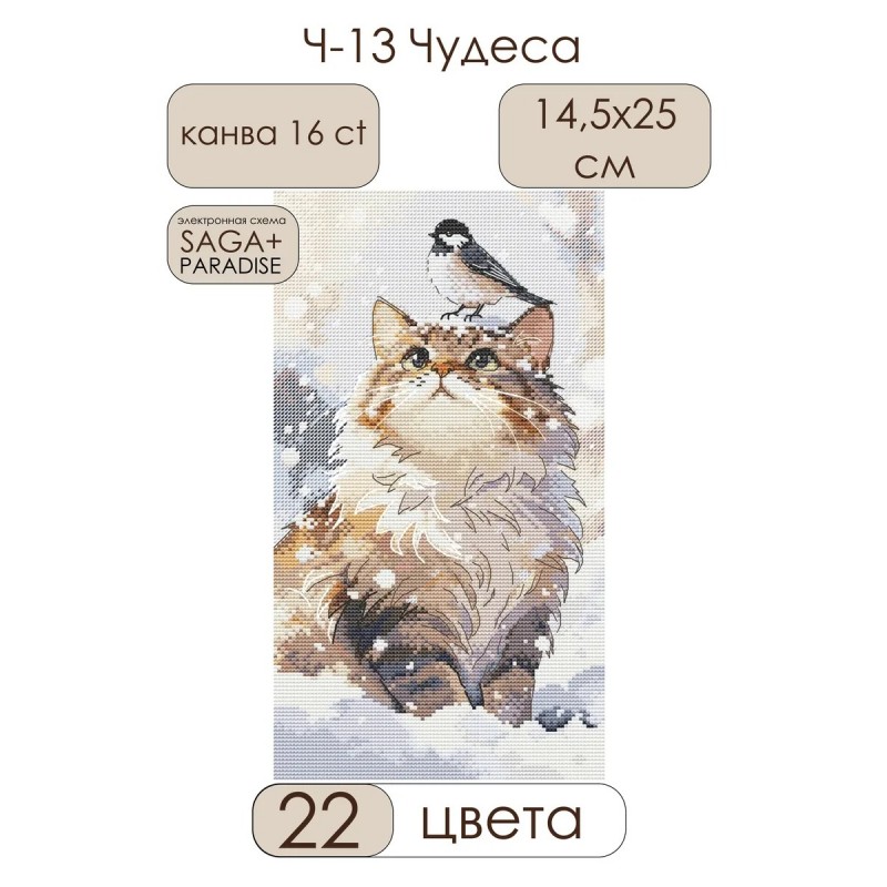 Ч-13 Чудеса